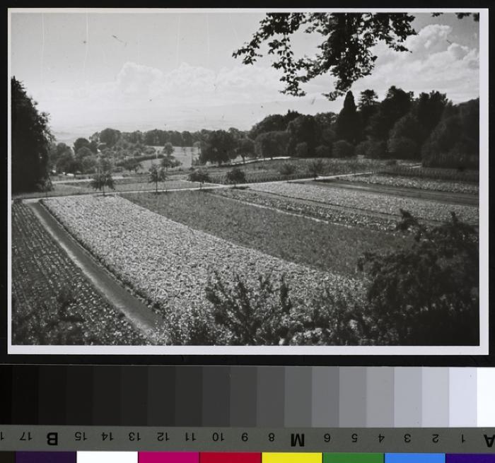 Domaine de Chatagny (domaine rattaché à l'hôpital cantonal).