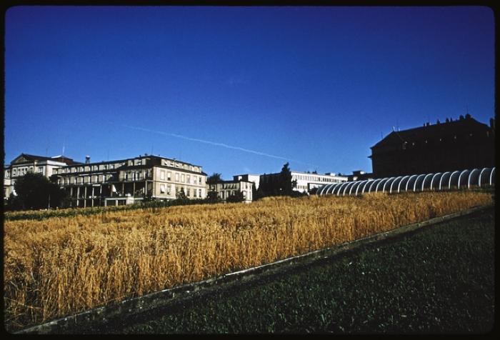 Site du CHUV avant la construction de ce dernier. De droite à gauche sur l'arrière plan, l'institut de microbiologie, l'institut de pathologie et l'hôpital cantonal.