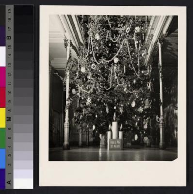 Sociabilité: fête de Noël, hall principal de l'hôpital cantonal: le sapin.